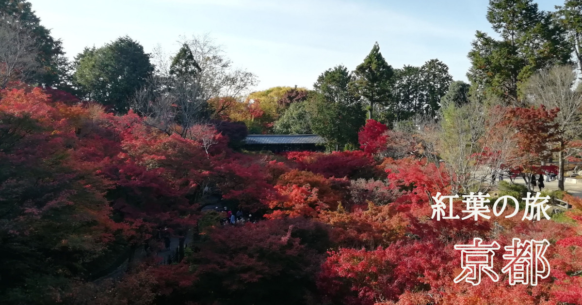 京都 アラフィフ３人で行った紅葉の旅 1泊２日のおすすめルート チチカカブログ